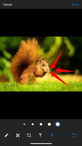 Play Photo Markup Tool and enjoy Photo Markup Tool with UptoPlay Play Photo Markup Tool and enjoy Photo Markup Tool with UptoPlay