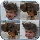 Free play online Photo Memory, Play Your Cards APK