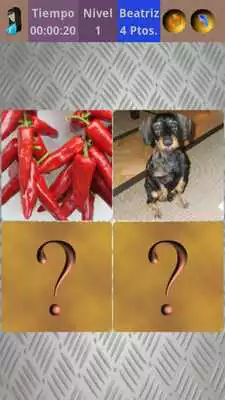 Play Photo Memory, Play Your Cards