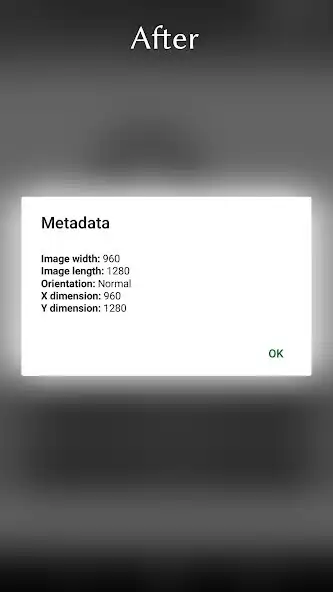 Play Photo Metadata Remover as an online game Photo Metadata Remover with UptoPlay