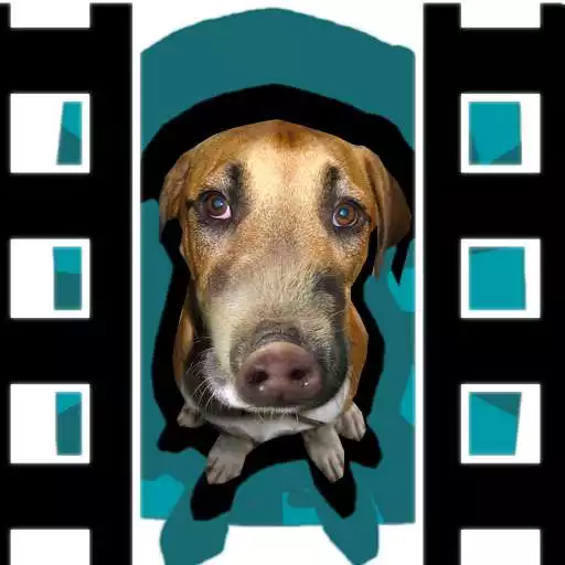 Play Photo Montage and Video Maker APK Play Photo Montage and Video Maker APK