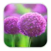 Free play online Photon Wallpapers APK