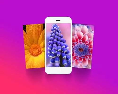 Play Photon Wallpapers