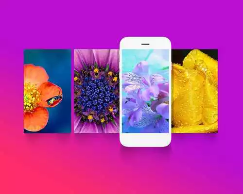 Play Photon Wallpapers