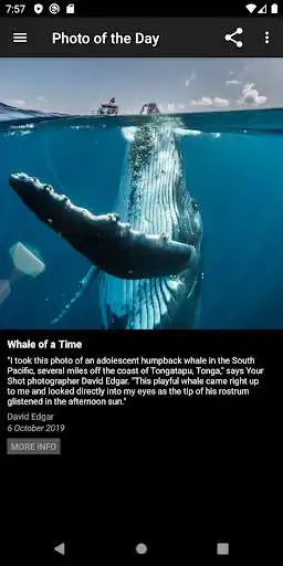 Play Photo of the day