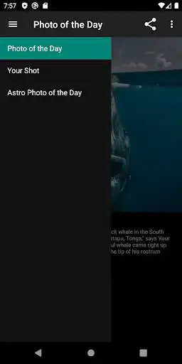 Play Photo of the day