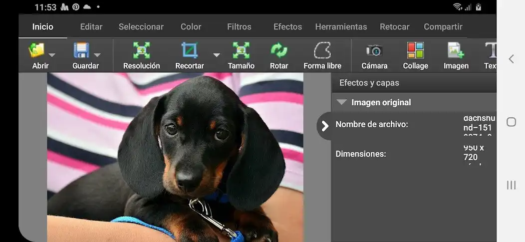 Play PhotoPad, Profesional  and enjoy PhotoPad, Profesional with UptoPlay