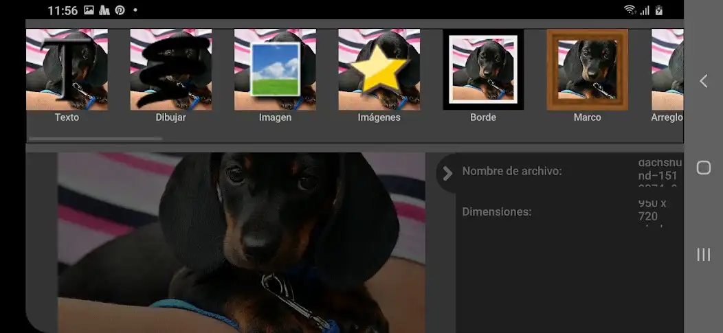 Play PhotoPad, Profesional as an online game PhotoPad, Profesional with UptoPlay