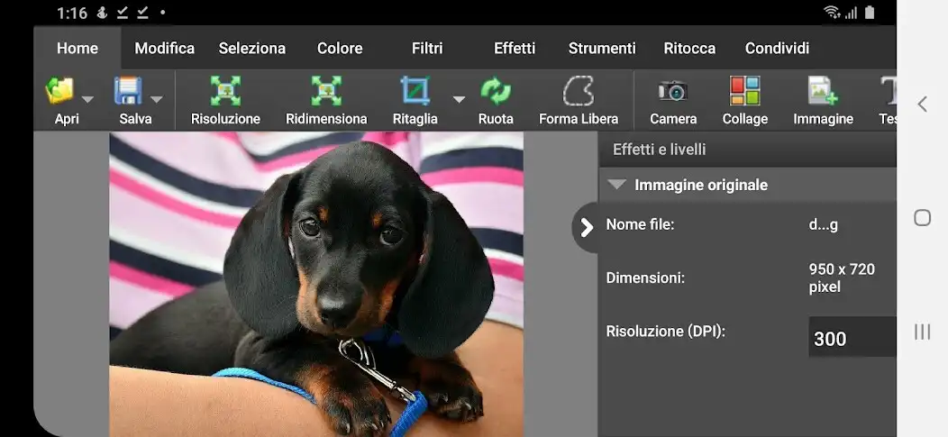Play PhotoPad Professionale  and enjoy PhotoPad Professionale with UptoPlay