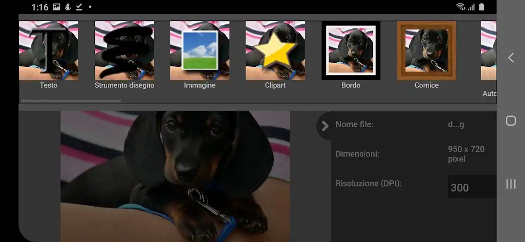 Play PhotoPad Professionale as an online game PhotoPad Professionale with UptoPlay