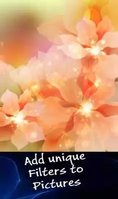 Play Photo Phunia - Bokeh Photo Effect