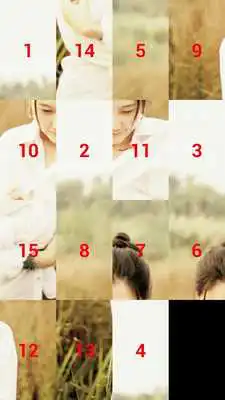 Play Photo Puzzle (15 puzzle)