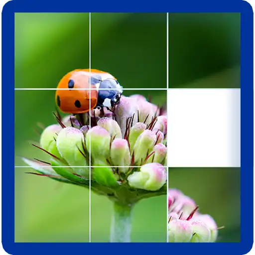Free play online Photo Puzzle Game APK Free play online Photo Puzzle Game APK