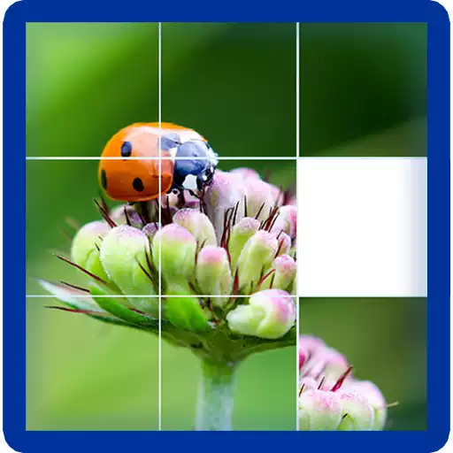 Play Photo Puzzle Game APK