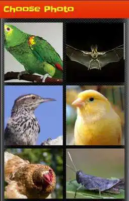 Play Photo Puzzle Game