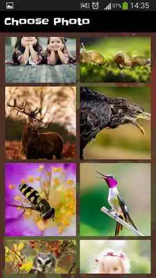 Play Photo Puzzle - New