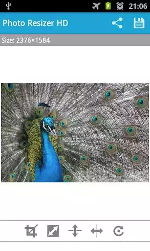 Play Photo Resizer HD as an online game online Photo Resizer HD with UptoPlay Play Photo Resizer HD as an online game Photo Resizer HD with UptoPlay