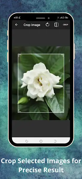 Play Photos Background Remover Auto as an online game Photos Background Remover Auto with UptoPlay