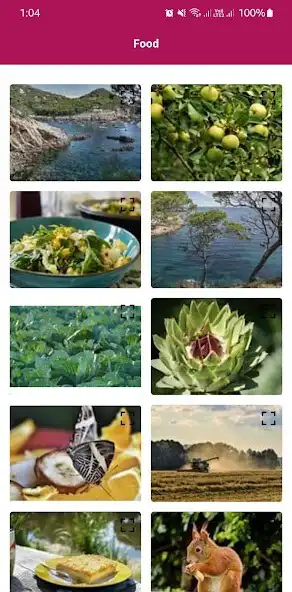 Play Photos Pick as an online game Photos Pick with UptoPlay