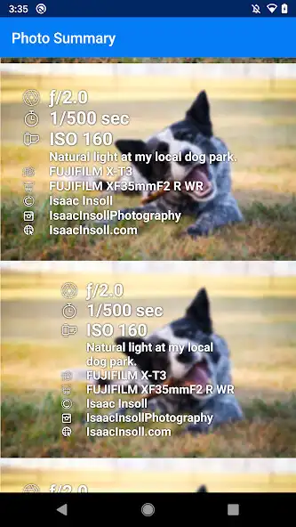 Play Photo Summary as an online game Photo Summary with UptoPlay