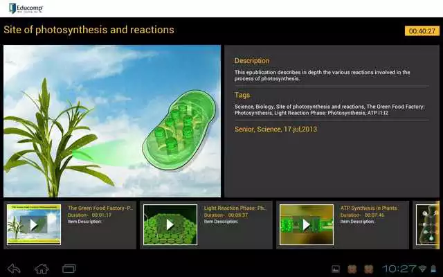 Play Photosynthesis  reactions