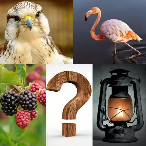 Play Photo Word Puzzle - Picture Guessing Game APK Play Photo Word Puzzle - Picture Guessing Game APK
