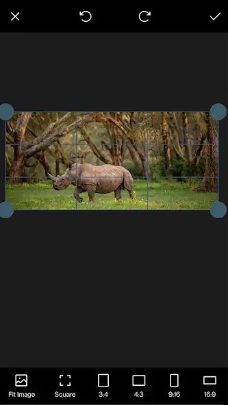 Play PhotoX - Photo motion effect as an online game PhotoX - Photo motion effect with UptoPlay