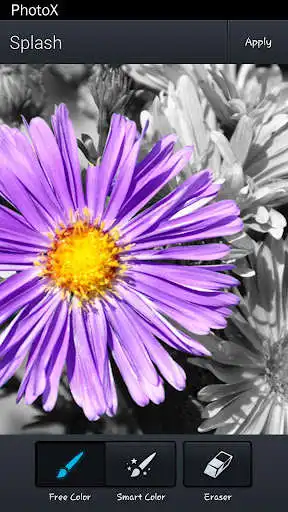 Play Photox  and enjoy Photox with UptoPlay
