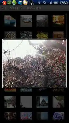 Play Photozoroid for Photozou