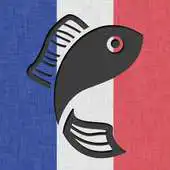 Free play online Phraseaholic French APK Free play online Phraseaholic French APK