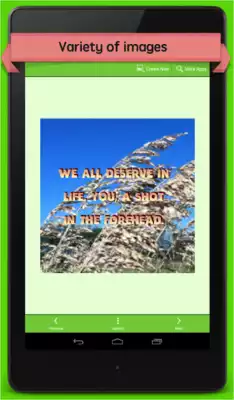 Play Phrases and States in Pictures