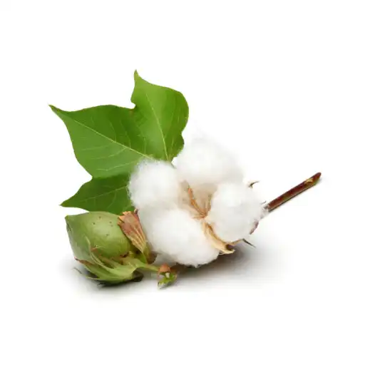Play Phule Deshi Cotton APK