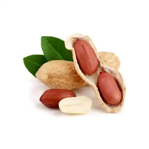 Play Phule Groundnut APK Play Phule Groundnut APK