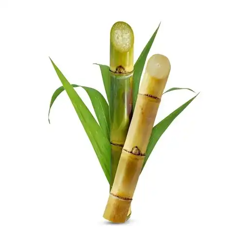 Play Phule Sugarcane APK Play Phule Sugarcane APK