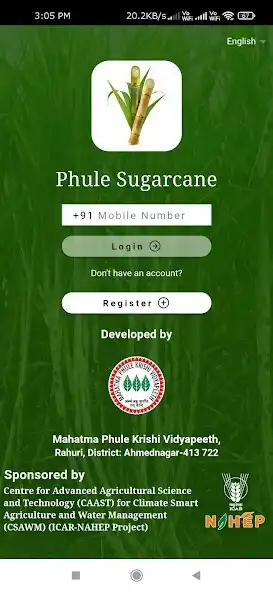 Play Phule Sugarcane  and enjoy Phule Sugarcane with UptoPlay
