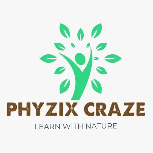 Play Phyzix Craze APK