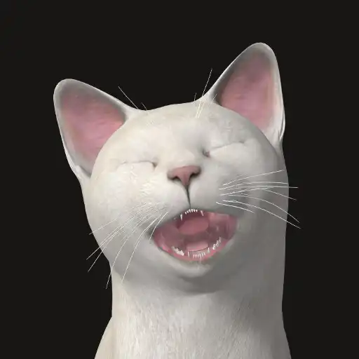 Play Piano Cats Free APK