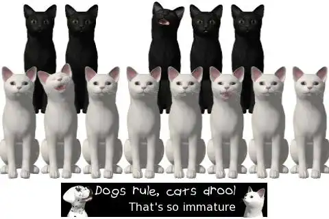 Play Piano Cats Free as an online game online Piano Cats Free with UptoPlay Play Piano Cats Free as an online game Piano Cats Free with UptoPlay