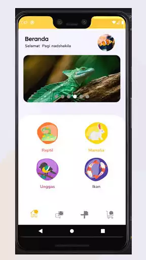 Play PiaRa as an online game PiaRa with UptoPlay