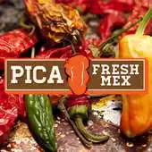 Free play online Pica Fresh Mex APK Free play online Pica Fresh Mex APK
