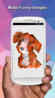 Play PicArt Polygon Art