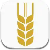 Free play online Pic-a-Wheat Field APK