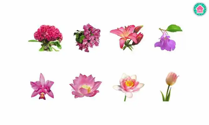 Play PicDic - Plants Lite