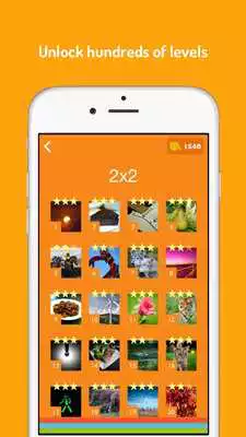 Play PicFun