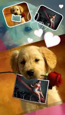 Play Pic Joke