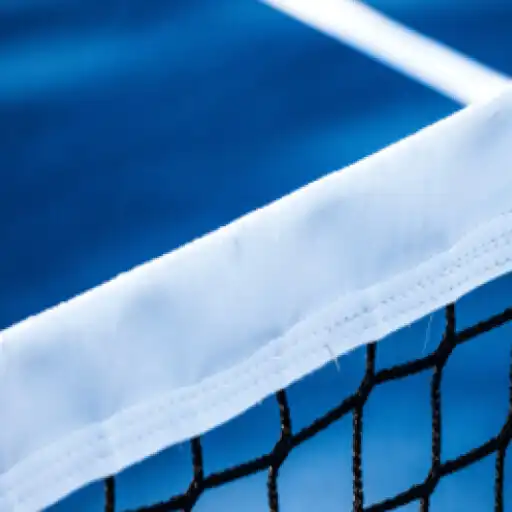 Play PickleBall Match ScorerPro APK Play PickleBall Match ScorerPro APK