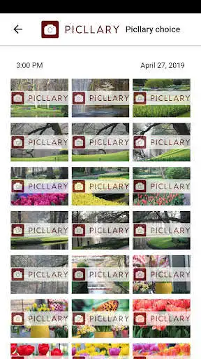 Play Picllary  and enjoy Picllary with UptoPlay