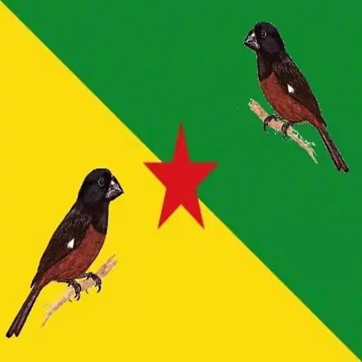 Play Picolette-Cùrio APK