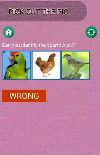 Play Pic Quiz Game