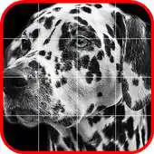 Free play online Picross Album APK